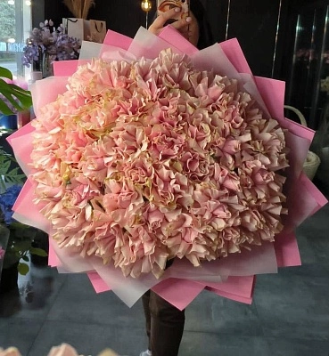 35 нежно-розовых французских роз