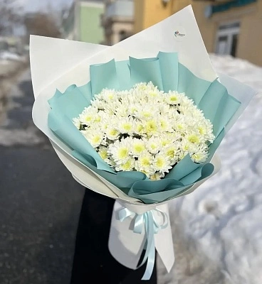 Гигант из 25 кустовой хризантемы XLL