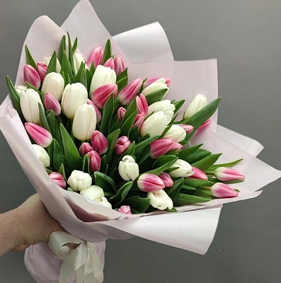 51 белый и розовый тюльпан в оформлении