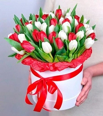51 белый и красный тюльпан в шляпной коробке
