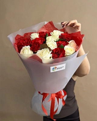 15 белых и красных роз 50/60 см в оформлении