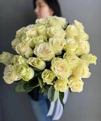 31 белая эквадорская роза 60 см под ленту