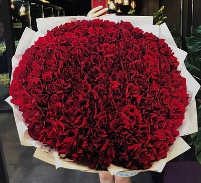 101 красная французская роза в оформлении