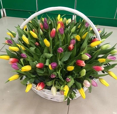 101 разноцветный тюльпан в корзине